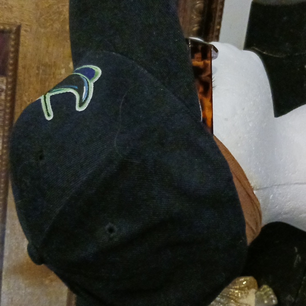 Tampa Bay Devil Rays Baseball Cap. - image 2